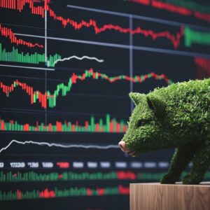 Exploring the Role of Hedge Funds in the Stock Market